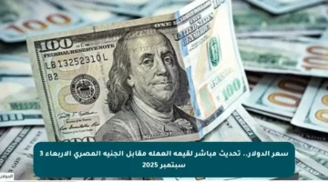 سعر الدولار.. تحديث مباشر لقيمة العملة مقابل الجنيه المصري الأربعاء 3 سبتمبر 2025